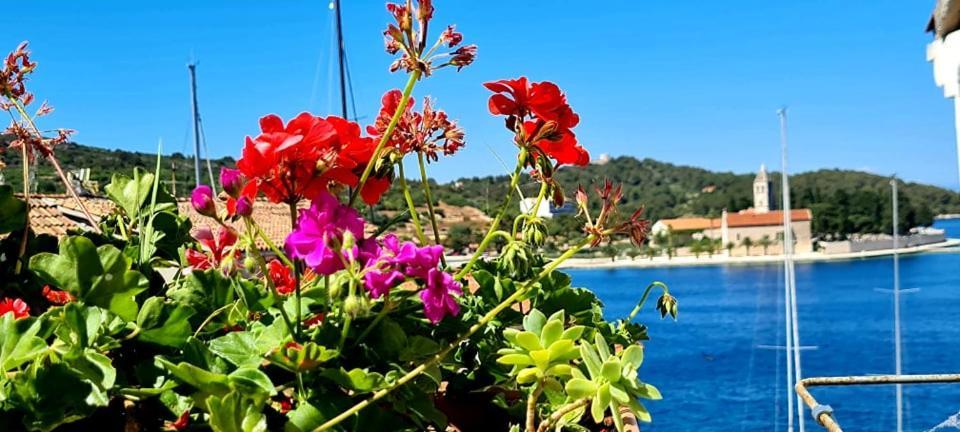 Bed & Breakfast Dionis Vis Exterior foto