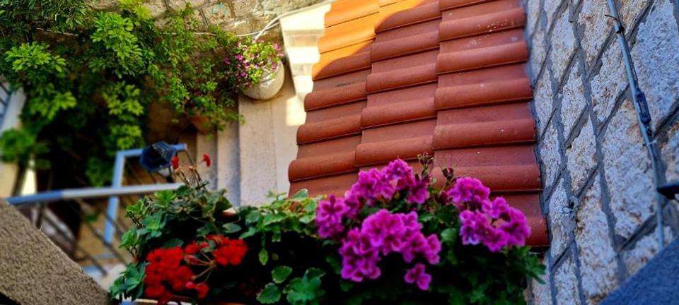 Bed & Breakfast Dionis Vis Exterior foto