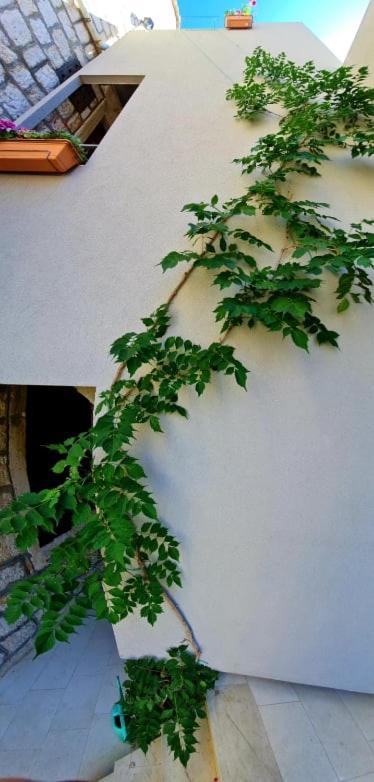 Bed & Breakfast Dionis Vis Exterior foto